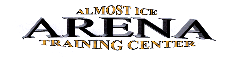 Click the logo to visit the Almost Ice Web Site!